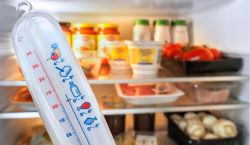 Fridge Thermometer