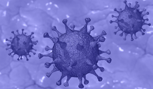 corona virus_