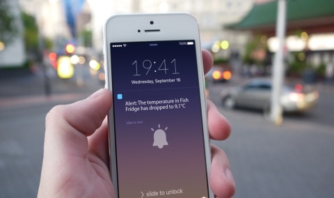 notification-on-mobile